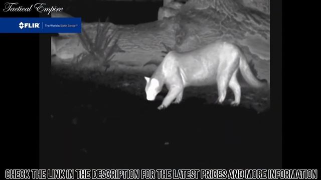 Best Handheld Thermal Monoculars | Top 5 FLIR Thermal Monoculars Review смотреть онлайн