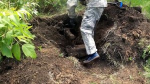 200 КГ ОДНИМ СИГНАЛОМ #металлокоп #коп #копметалла #гдекопать