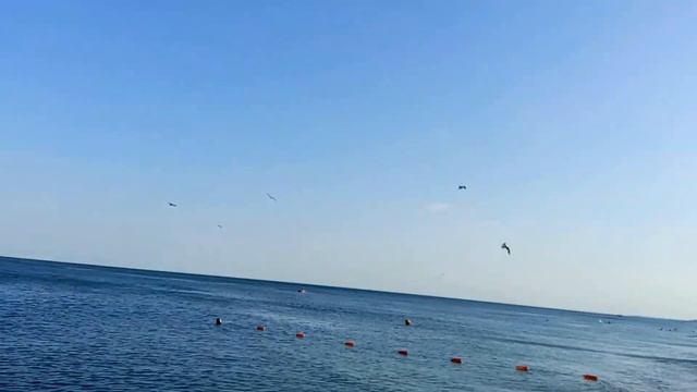 Чайки над морем смотреть онлайн