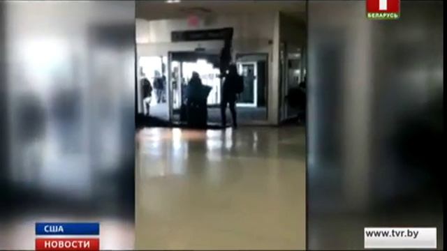 В Нью-Йорке не пустили в самолет павлина смотреть онлайн