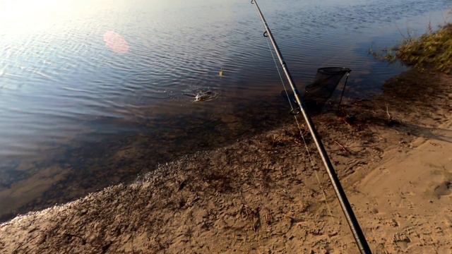 Весенняя рыбалка в Киеве/Новая оснастка/Видеоотчет апрель 2021 смотреть онлайн