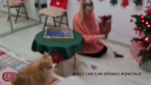 Очень уютный влог/Новый год в Одессе. Как создать себе уютное настроение