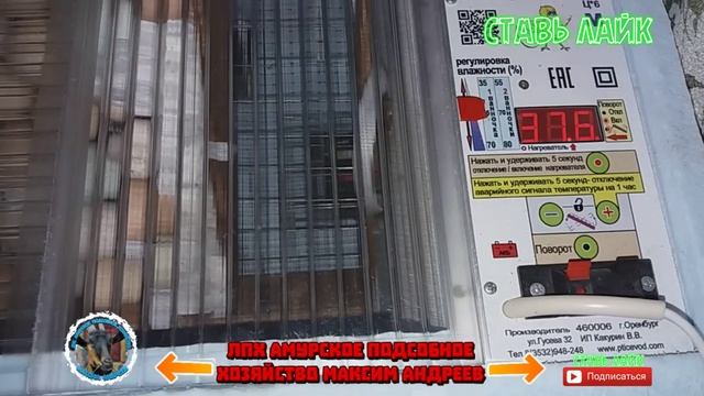 Как отрегулировать Температуру в Инкубаторе Блиц норма . Из-за этого плохо вылупляются цыплята. смотреть онлайн