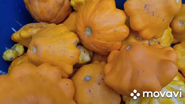 Кулинарные Эксперименты