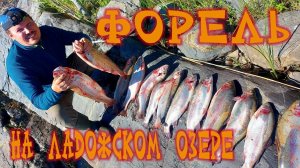 Форель в Карелии , бешеные поклевки ФОРЕЛИ , форель в Сортавале