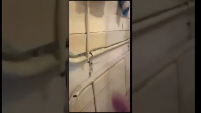 Чеченец освободился после 19 лет в заключении.Смотрите до конца.Ислам Хариханов. смотреть онлайн