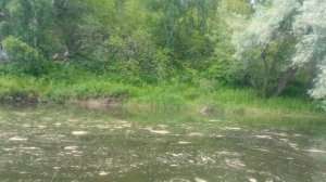 Летний сплав по реке Уфа.
