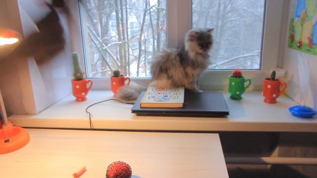 Обзор антистресса и пистолета от Ромы смотреть онлайн