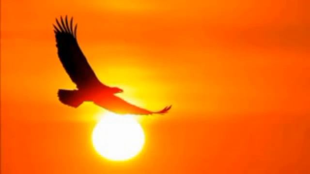 ? Иерихонская Труба YouTube ГласБожий✴️NебесныйGр@d €₽$haлаИм†ВТебе Пребывает НелинейностьЕстьЖизнь смотреть онлайн