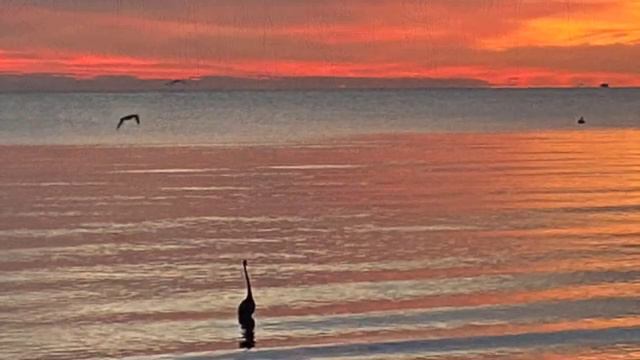 "Calling of the Flutes" ~ an immersive Sound Bath for Relaxation~multi-instrument смотреть онлайн