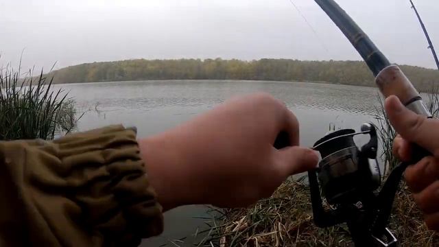 Рыбалка ранним утром. Ловля карася на кормаки. смотреть онлайн