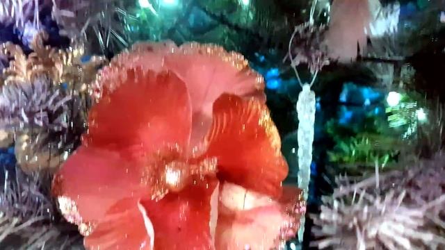 Зимуем в Сочи недорого смотреть онлайн