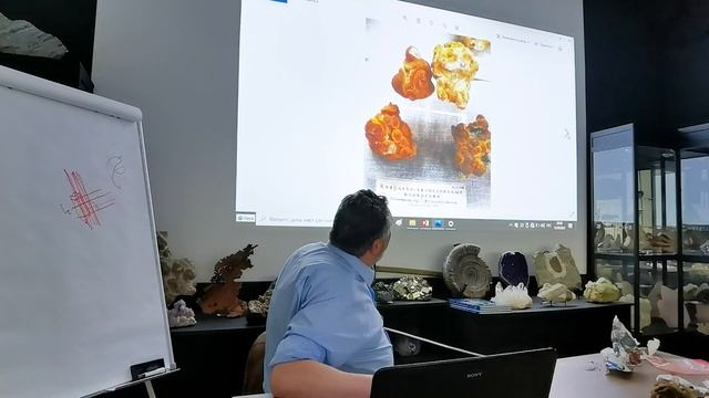 Минералы Подмосковья Часть 2. Минералогия Лекция №9 смотреть онлайн