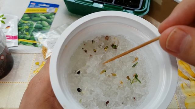 Какие семена я посадил в этом году смотреть онлайн