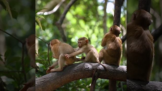 Exotic Bali, Indonesia смотреть онлайн
