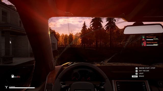 БОЛЬШОЙ ПЕРЕЕЗД ♦ Mist Survival ВЫЖИВАНИЕ #14