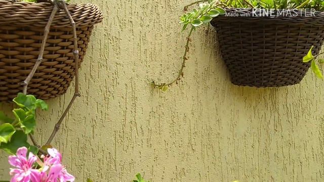 Atualização do jardim смотреть онлайн