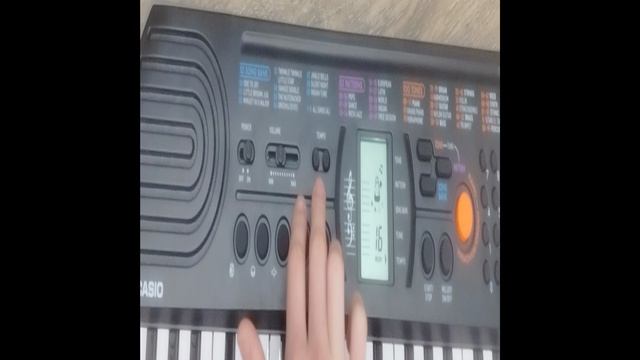 Casio SA-77