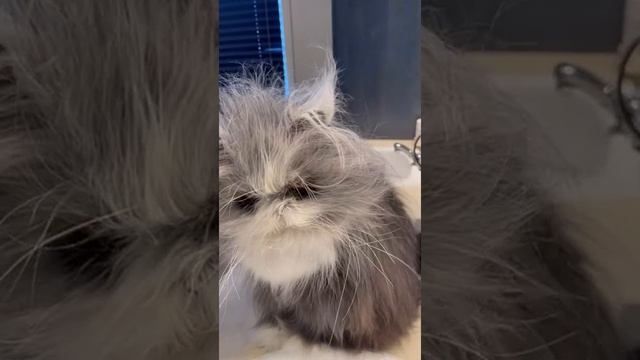 КТО ЭТО?