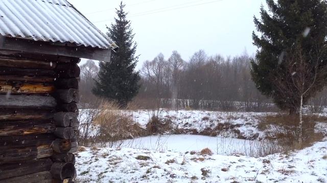 д. Большая Поповка, Ярославская область смотреть онлайн