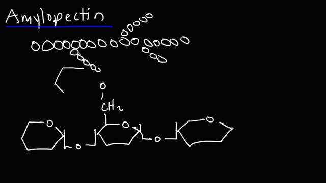 Polysaccharides - Starch, Amylose, Amylopectin, Glycogen, & Cellulose - Carbohydrates смотреть онлайн