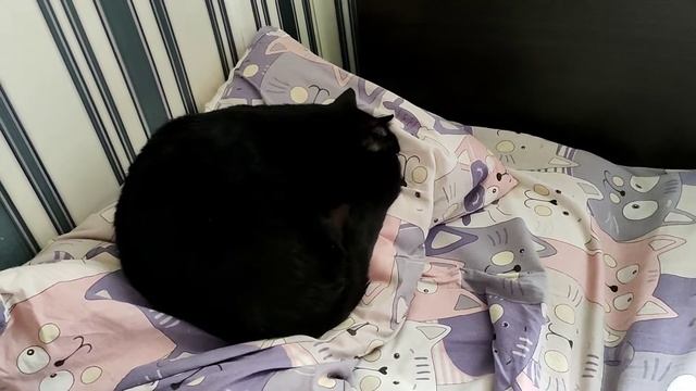 Домашний день/Подарки на НГ смотреть онлайн