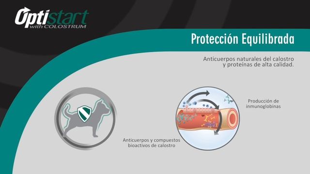 Protección y nutrición inicial para mi perro cachorro - PURINA® PRO PLAN® CON CALOSTRO смотреть онлайн