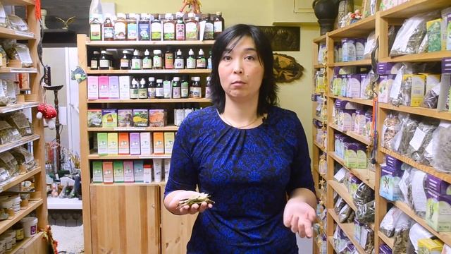 ? Гинко Билоба. Травничество. Татьяна Хегай смотреть онлайн