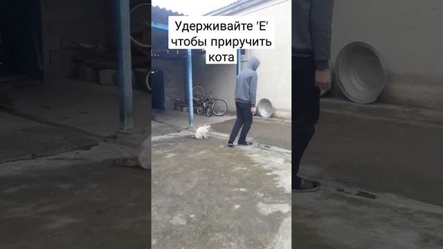 #мемы #memes #кот #врек #shorts #жиза #майнкрафт #джоджо смотреть онлайн