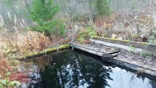 14.10 Дача, тайга.... смотреть онлайн