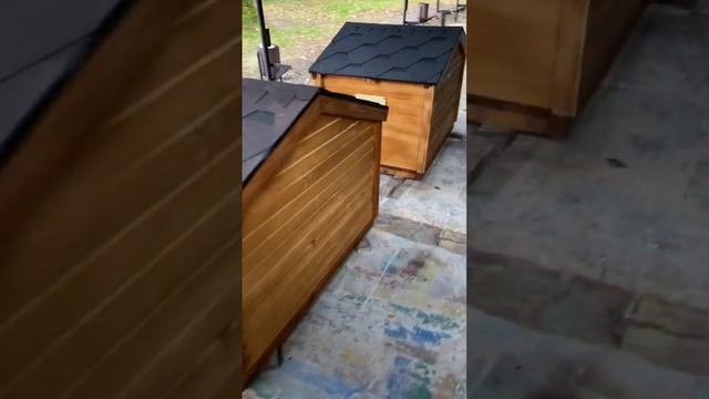 Собача будка для великих собак