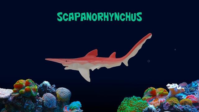 Prehistoric Sharks - Featuring Megalodon - The Kids' Picture Show (Fun & Educational Learning Video