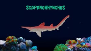 Prehistoric Sharks - Featuring Megalodon - The Kids' Picture Show (Fun & Educational Learning Video