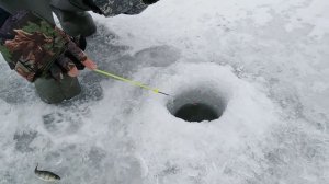 Ставим китайские раколовки. Ловля рака зимой 2020год