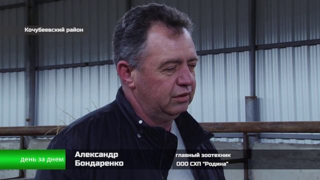 Без мяса не останемся.mp4 смотреть онлайн