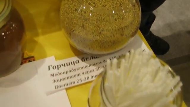 агросиб 2017 Общество пчеловодов Новосибирской области утро подготовка. смотреть онлайн