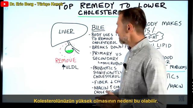 Kolesterol Düşürücü ve Düzenleyici En İyi Tedavi | Dr.Berg Türkçe смотреть онлайн