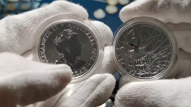Красноспинный паук Австралии! Новая серия - Самые опасные животные! смотреть онлайн