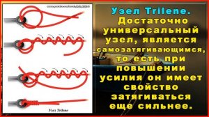 Как вязать основные рыболовные узлы для крючков и для поводков.