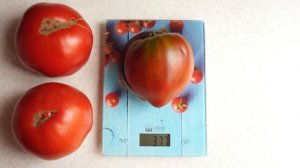 ЭТОТ ТОМАТ ДОЛЖЕН ПОПРОБОВАТЬ КАЖДЫЙ! СЕРДЦЕ ЛИННЕЯ!