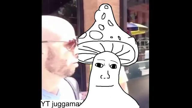 Meeting With Mushroom