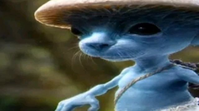 песня ШайлуШай но оригинал ?? смотреть онлайн