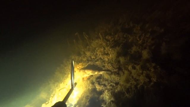 Подводная охота перед запретом 2020 смотреть онлайн