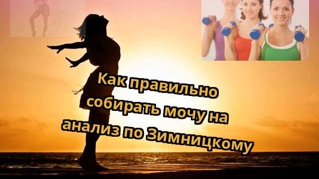 Как правильно собирать мочу на анализ по Зимницкому смотреть онлайн