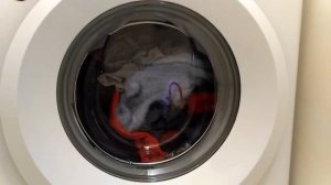 Стиральная машина LG F2J5NN3W в режиме стирки