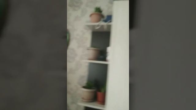 обзор 3 комнаты зал смотреть онлайн