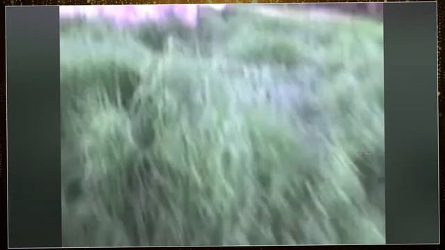 Страшные Видео, которые невозможно объяснить/ страшные видео из интернета смотреть онлайн