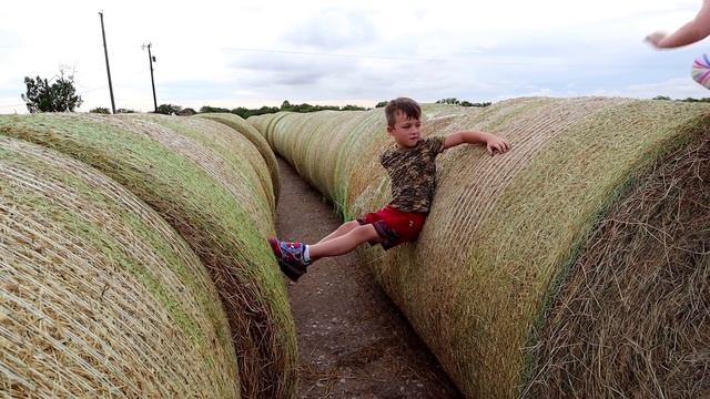 Playing With Kids Tractors And Real Tractors On The Farm Compilation | Tractors For Kids