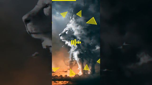 Тони Раут - Карнавал