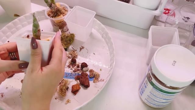 Пересадки и Посадки 🤗👍 смотреть онлайн